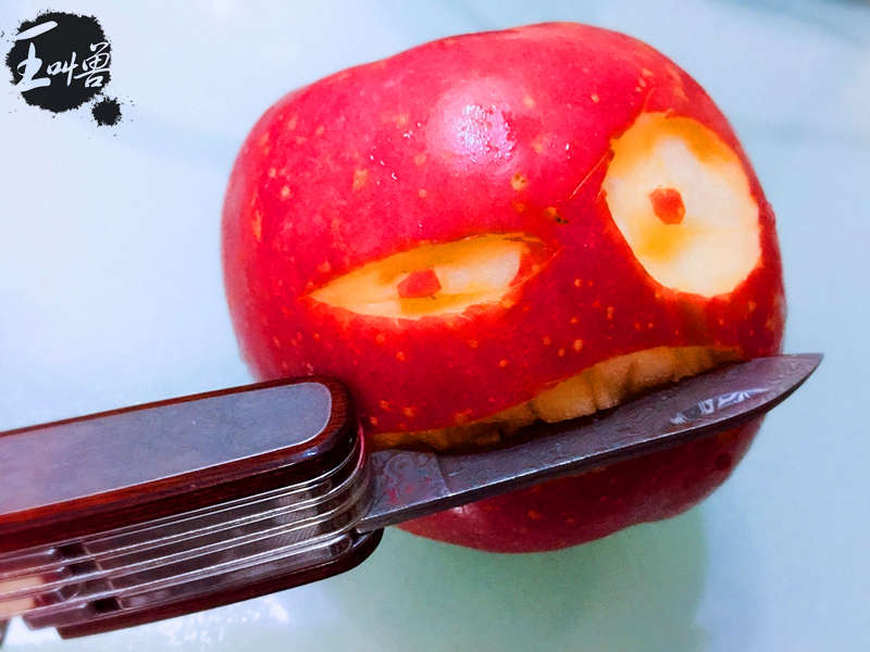 漢道大馬士革軍刀-功能多到連軟妹紙都愛(ài)不釋手