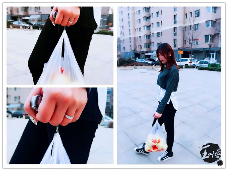 漢道大馬士革軍刀-功能多到連軟妹紙都愛(ài)不釋手