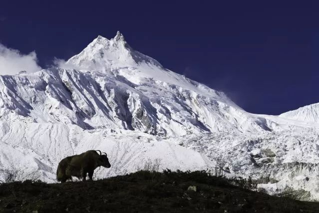 有關馬納斯魯地區徒步的9個有趣事實 有關馬納斯魯地區徒步的9個有趣事實