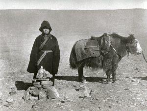 她是第一個進入拉薩的西方女性,竟然比洛克資歷還深 她是第一個進入拉薩的西方女性,竟然比洛克資歷還深