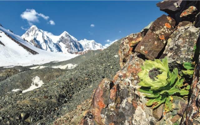 一生必去的30條史詩級徒步路線，全部走完，此生無憾！