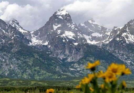 不滿川普政府毀地球,美國戶外運動用品品牌Patagonia捐千萬美元