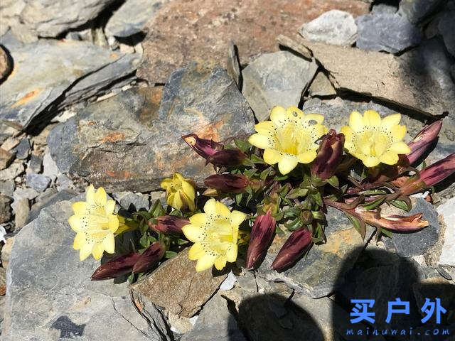 新手第一次去戶外爬山，看看都需要該做些什么