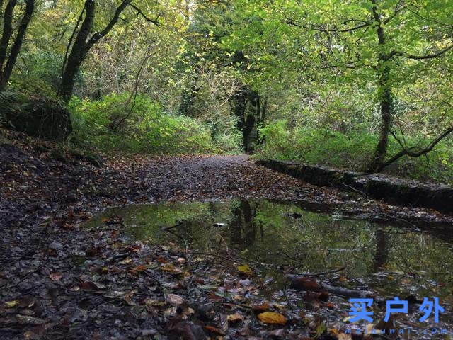 愛爾蘭自駕攻略,一篇告訴你上路資訊、交通規則、租車須知和必走路線