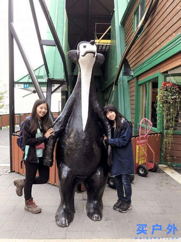 加拿大荒漠之境,行走在杰士伯國家公園坐纜車一日徒步行