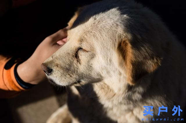 四川稻城亞丁,好喘好累但好美的高海拔徒步旅行