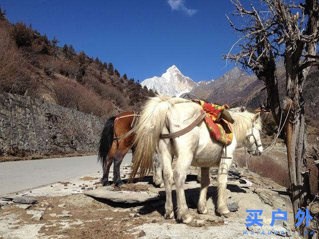 四川,獨闖四姑娘山二峰5276m全紀錄