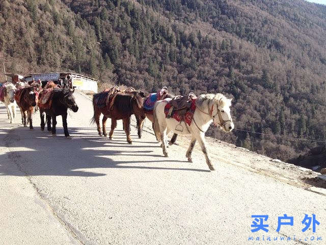 四川,獨闖四姑娘山二峰5276m全紀錄