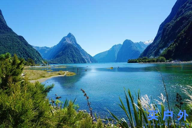 新西蘭南島自由行,教你新西蘭南島自駕、爬福克斯冰河、去皇后鎮高空跳傘