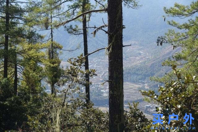 不丹虎穴寺山谷徒步之旅，旅行者的天堂