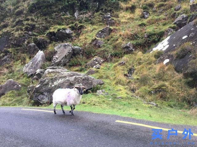 愛爾蘭自駕攻略,一篇告訴你上路資訊、交通規則、租車須知和必走路線