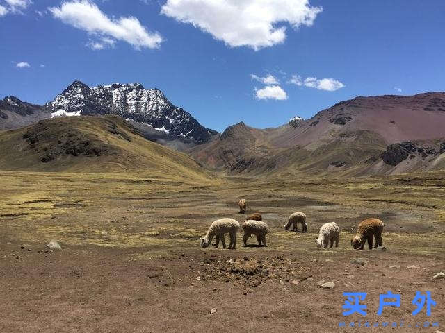 秘魯彩虹山的登山經過和注意事項