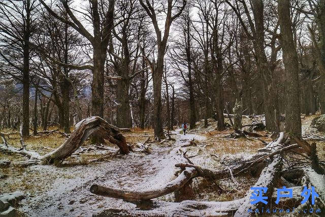 冬天的巴塔哥尼亞,探索世界盡頭這片遙遠、狹長的土地