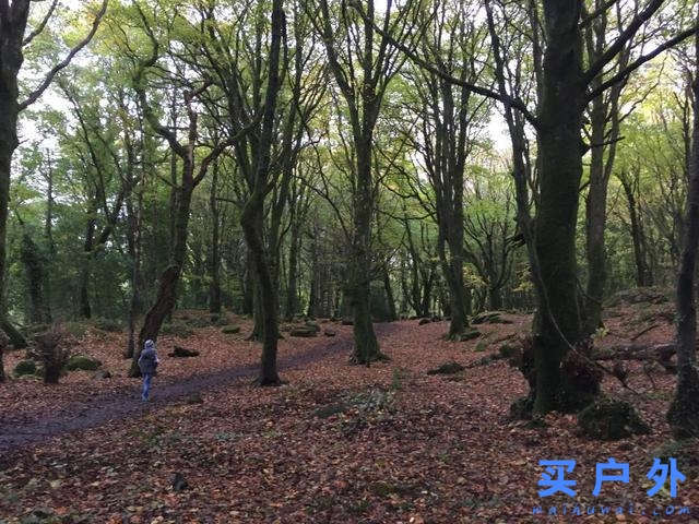 愛爾蘭自駕攻略,一篇告訴你上路資訊、交通規則、租車須知和必走路線