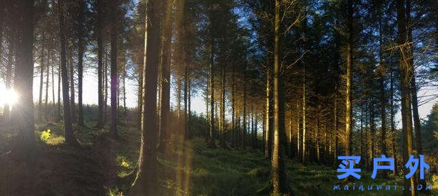 愛爾蘭自駕攻略,一篇告訴你上路資訊、交通規則、租車須知和必走路線