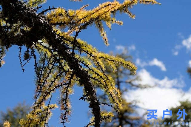 四川稻城亞丁,好喘好累但好美的高海拔徒步旅行