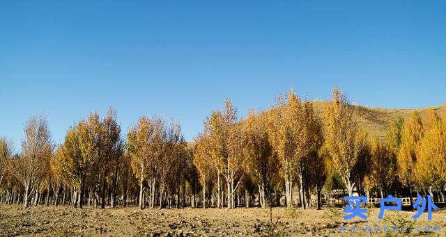 四川稻城亞丁,好喘好累但好美的高海拔徒步旅行