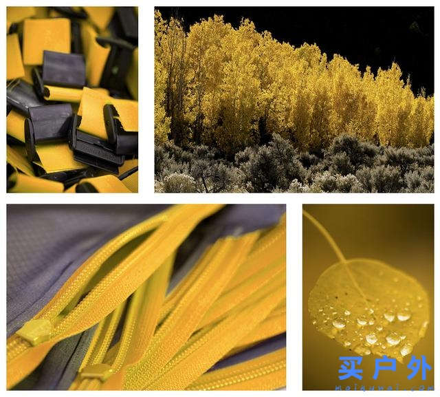 Arc'teryx始祖鳥為啥這么貴?深度解讀始祖鳥的十大真相