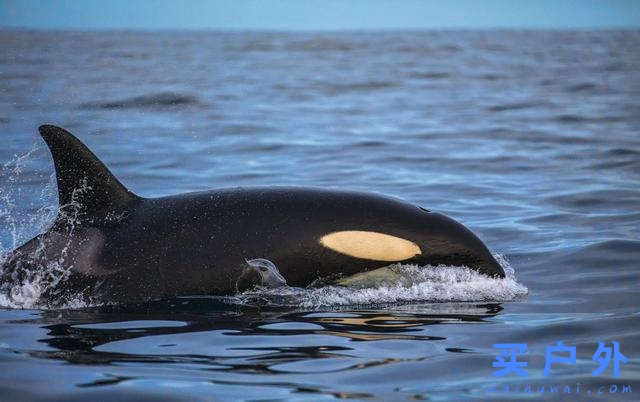 看完極光順便來趟小旅行,這些景點離瑞典、芬蘭、挪威極光地點超級近