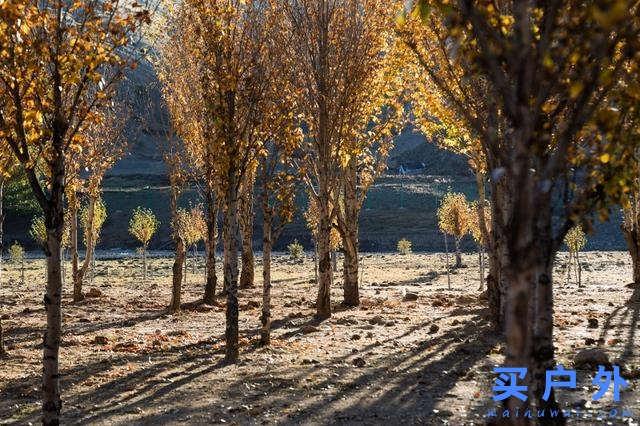 四川稻城亞丁,好喘好累但好美的高海拔徒步旅行