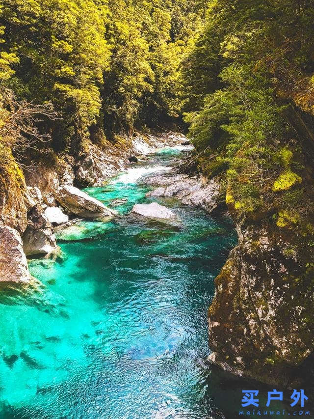 新西蘭南島自由行,教你新西蘭南島自駕、爬福克斯冰河、去皇后鎮高空跳傘