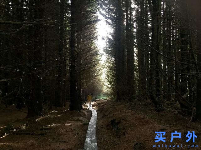 愛爾蘭自駕攻略,一篇告訴你上路資訊、交通規則、租車須知和必走路線