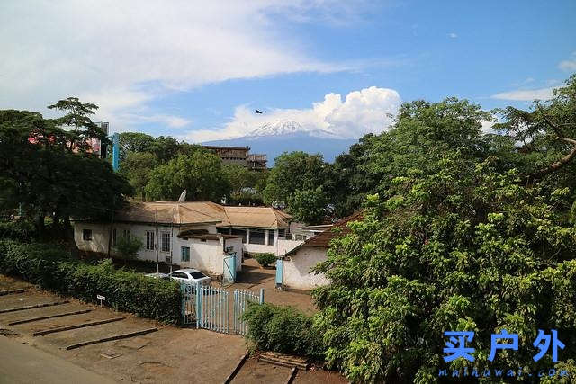 登上坦桑尼亞非洲第一高峰乞力馬扎羅山之夢