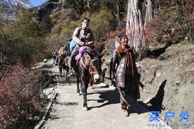 四川稻城亞丁,好喘好累但好美的高海拔徒步旅行