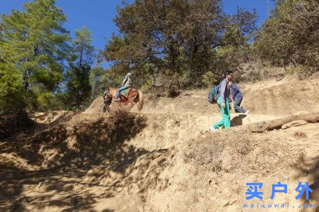 不丹虎穴寺山谷徒步之旅，旅行者的天堂