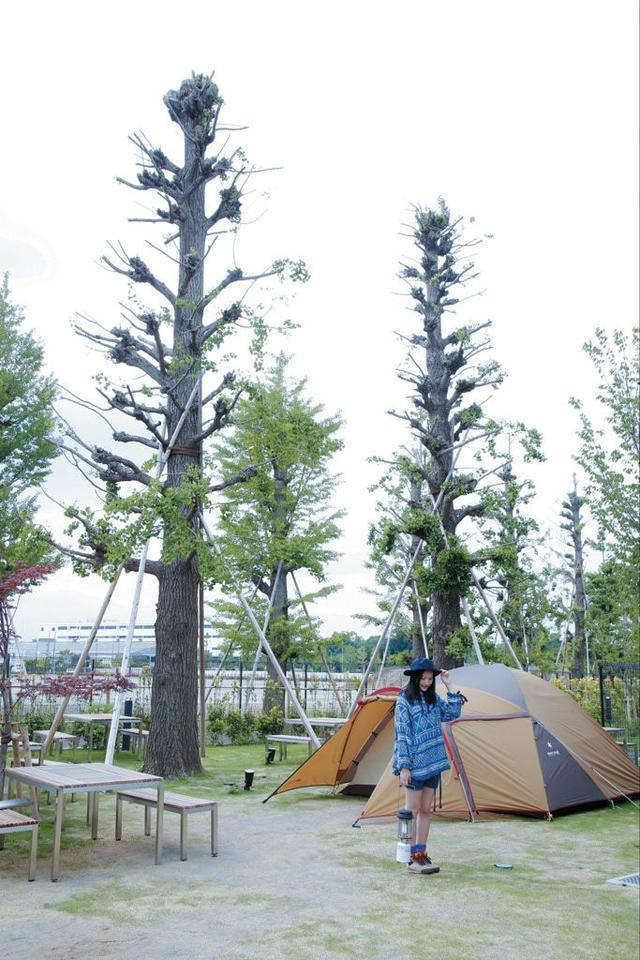 一份可操作性極強的日本戶外裝備購買指南