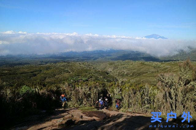 登上坦桑尼亞非洲第一高峰乞力馬扎羅山之夢