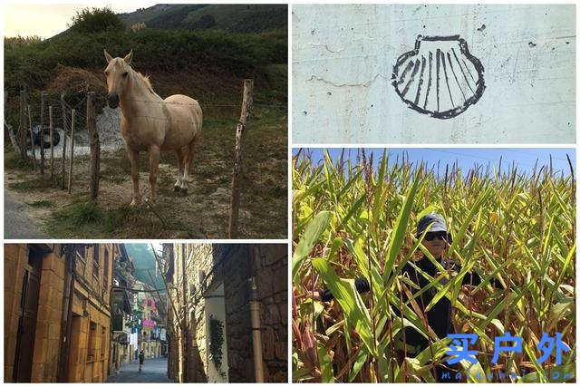 送給自己的禮物,西班牙845公里圣地亞哥朝圣之路