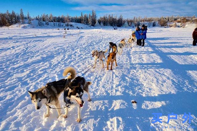 加拿大黃刀鎮極光村除了看炫目的極光,還能怎么玩?