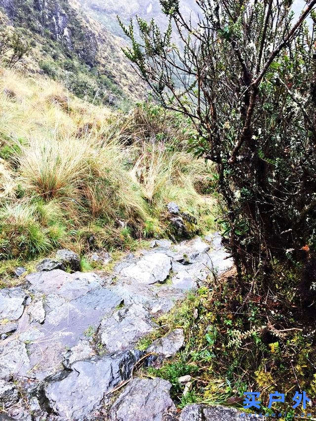 印加古道徒步,行走在馬丘比丘的美麗道路上