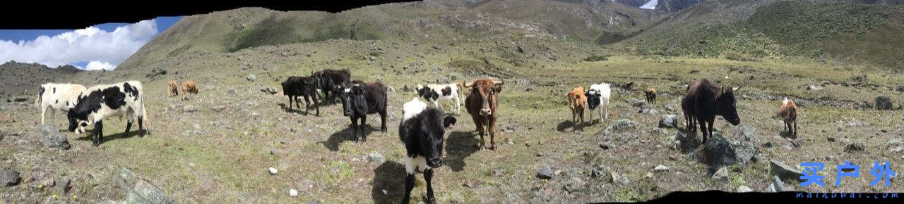 奔向秘魯瓦斯卡蘭國家公園，走一條人煙稀少的徒步登山路徑