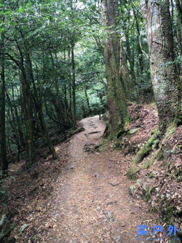 Salomon的登山鞋好在哪里?分享Salomon登山鞋實測心得