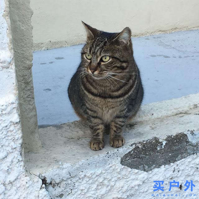 希臘圣托里尼,女生夢寐以求的旅行目的地