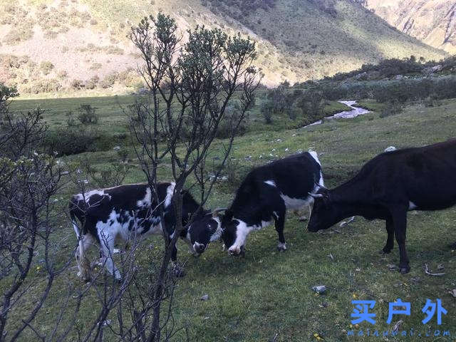奔向秘魯瓦斯卡蘭國家公園，走一條人煙稀少的徒步登山路徑
