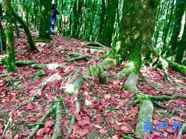 Salomon的登山鞋好在哪里?分享Salomon登山鞋實測心得