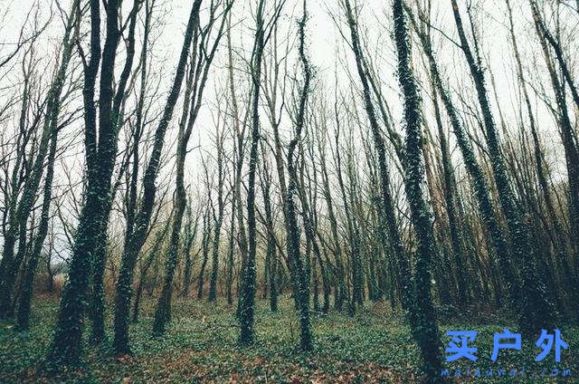 西班牙朝圣之路，走過風雪冰雨的蜜月旅行