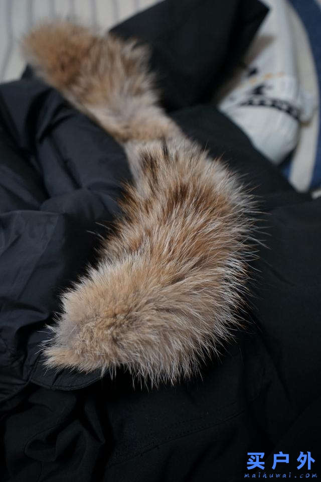 種草全球最火的羽絨服，Canada Goose加拿大鵝羽絨服開箱