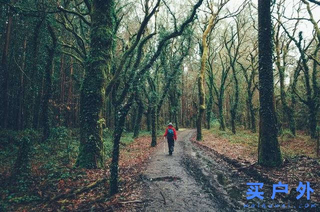 西班牙朝圣之路，走過風雪冰雨的蜜月旅行