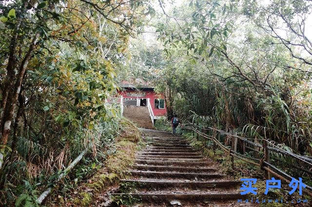 馬來(lái)西亞京那巴魯公園兩天一夜，走在東南亞最高峰的路上