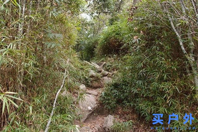 Salomon的登山鞋好在哪里?分享Salomon登山鞋實測心得