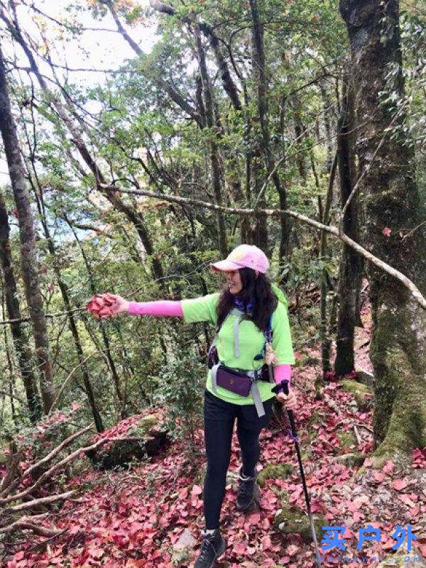 Salomon的登山鞋好在哪里?分享Salomon登山鞋實測心得