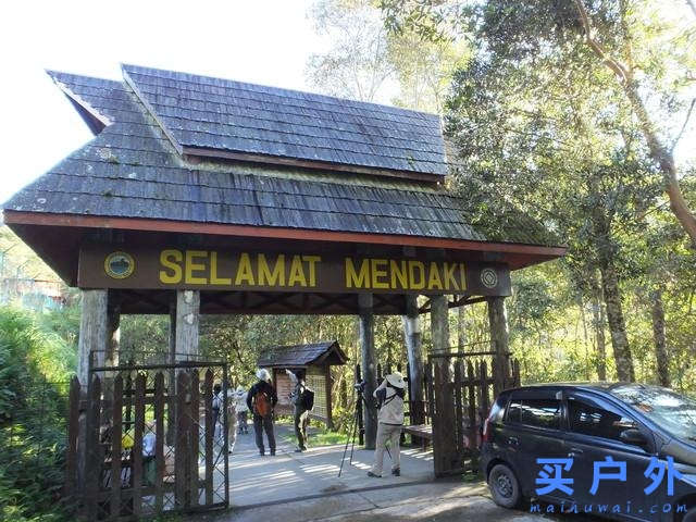 馬來(lái)西亞京那巴魯公園兩天一夜，走在東南亞最高峰的路上