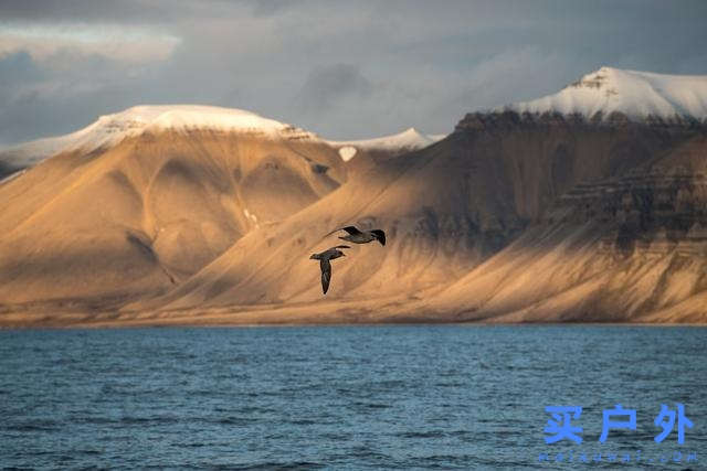 身穿Klattermusen攀山鼠羽絨連帽外套探索世界極北之島,斯瓦爾巴群島
