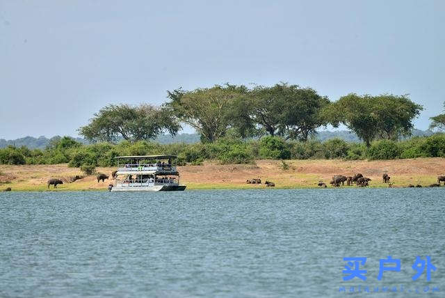 東非烏干達自助旅行,Kazinga海峽游船拜訪非洲最大河馬族群