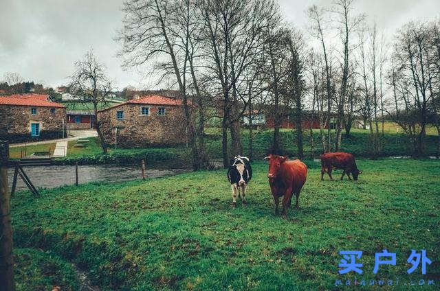 西班牙朝圣之路，走過風雪冰雨的蜜月旅行