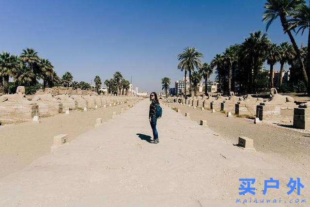 那年冬天,我在埃及待了一整個月的旅行故事